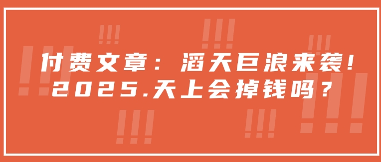 付费文章：滔天巨浪来袭！2025天上会掉钱吗？-南友云赚