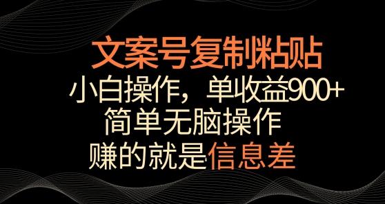 文案号掘金，简单复制粘贴，小白操作，单作品收益900+【揭秘】-南友云赚