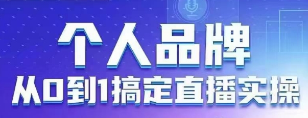 个人品牌：从0到1搞定直播实操，用直播为你的个人品牌赋能，六大实操板块，放大个人影响力-南友云赚
