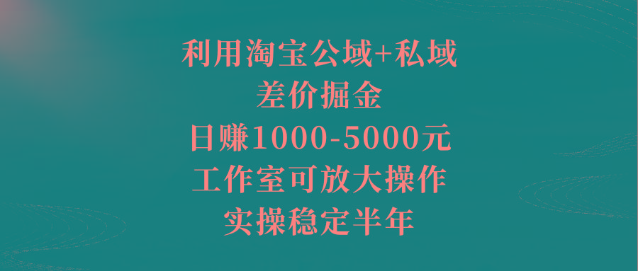 利用淘宝公域+私域差价掘金，日赚1000-5000元，工作室可放大操作，实操…-南友云赚