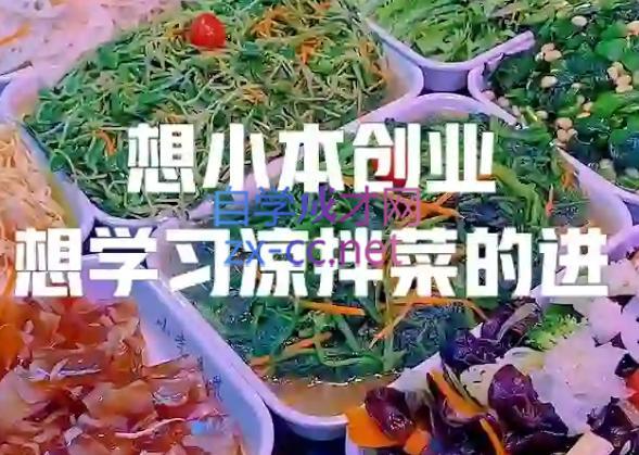 李记·精品凉拌菜系列热卤系列教程-南友云赚