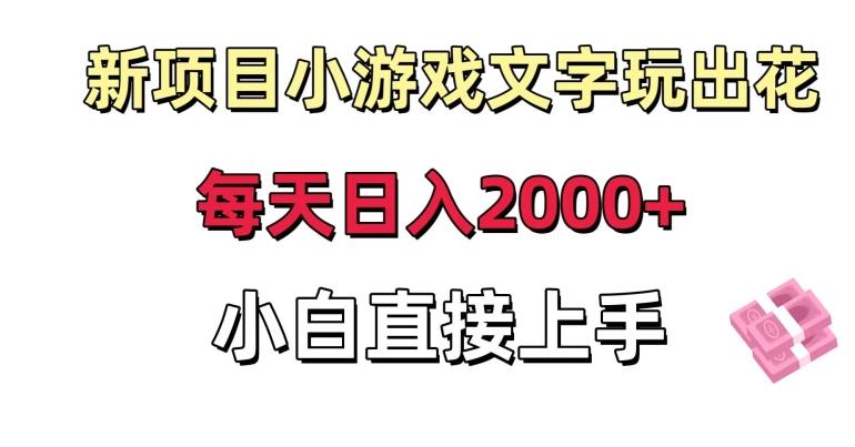 新项目小游戏文字玩出花日入2000+，每天只需一小时，小白直接上手【揭秘】-南友云赚