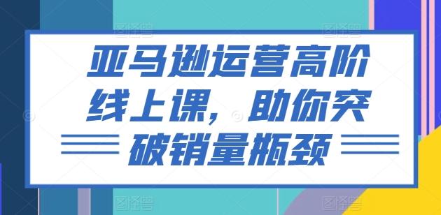 亚马逊运营高阶线上课，助你突破销量瓶颈-南友云赚