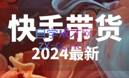 快手带货(2024最新)-南友云赚