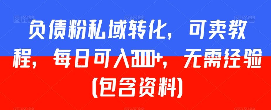 负债粉私域转化，可卖教程，每日可入2000+，无需经验（包含资料）【揭秘】-南友云赚