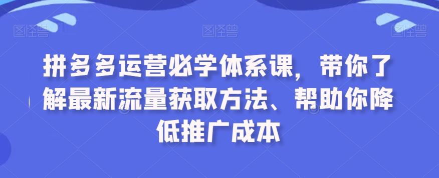 拼多多运营必学体系课，带你了解最新流量获取方法、帮助你降低推广成本-南友云赚