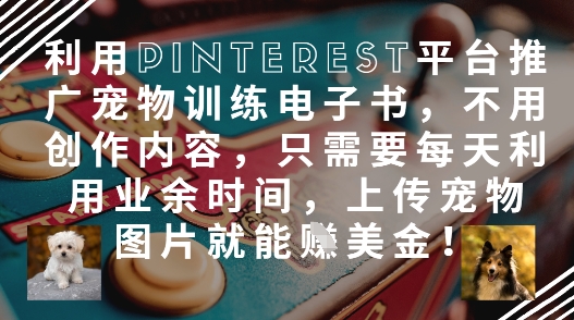 利用Pinterest平台推广宠物训练电子书，不用创作内容，只需要每天利用业余时间，上传宠物图片就能挣美金!-南友云赚