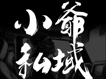小爷·私域项目操盘手-南友云赚