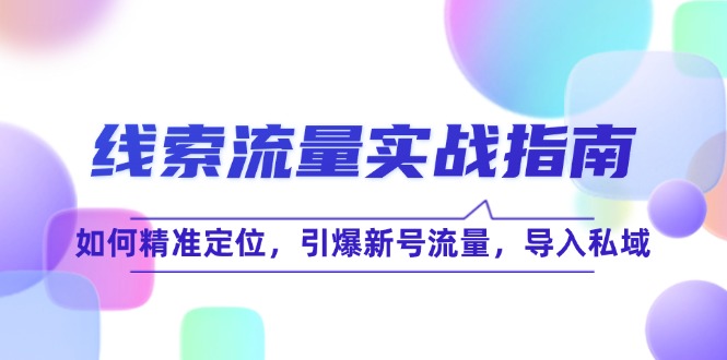 线 索 流 量-实战指南：如何精准定位，引爆新号流量，导入私域-南友云赚