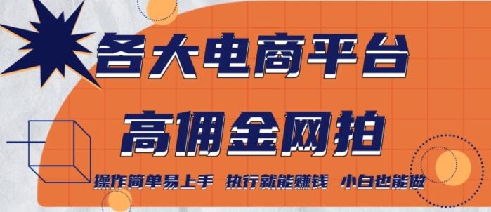 各大电商平台高佣金网拍，操作简单易上手，执行就能赚钱，小白也能做-南友云赚