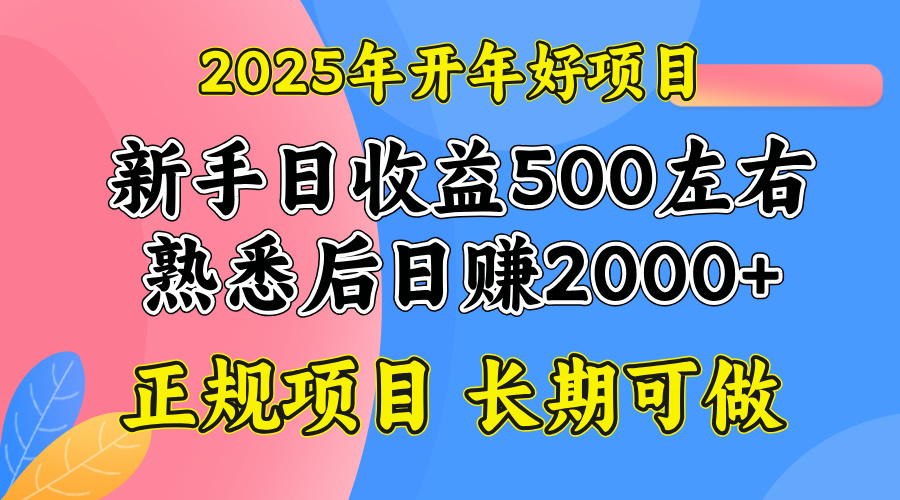 2025开年好项目，单号日收益2000左右-南友云赚