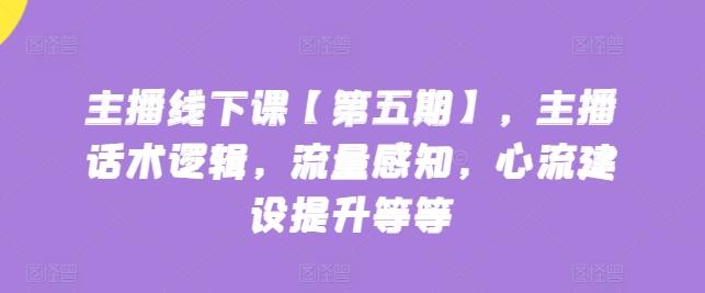 主播线下课【第五期】，主播话术逻辑，流量感知，心流建设提升等等-南友云赚