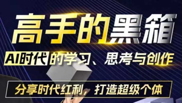 高手的黑箱：AI时代学习、思考与创作-分红时代红利，打造超级个体-南友云赚
