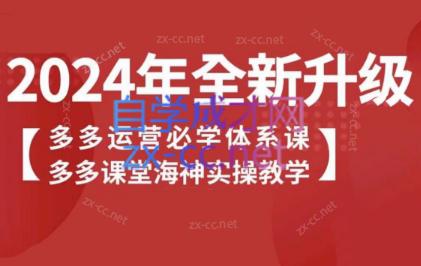 海神老师·拼多多运营必学体系课-南友云赚