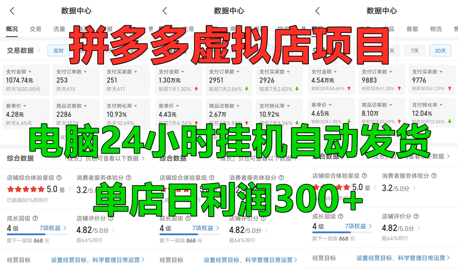拼多多虚拟店铺项目，电脑挂机自动发货，单店日利润300+-南友云赚