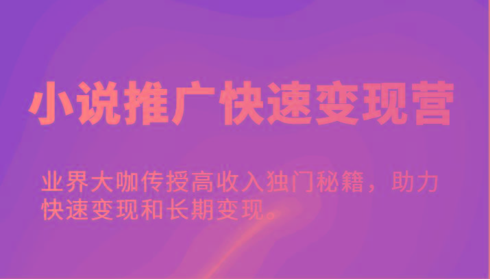 小说推广快速变现营-业界大咖传授高收入独门秘籍，助力快速变现和长期变现。-南友云赚