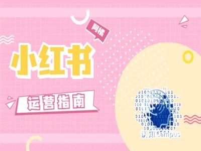 小红书运营指南，没有套路，全是经验-南友云赚