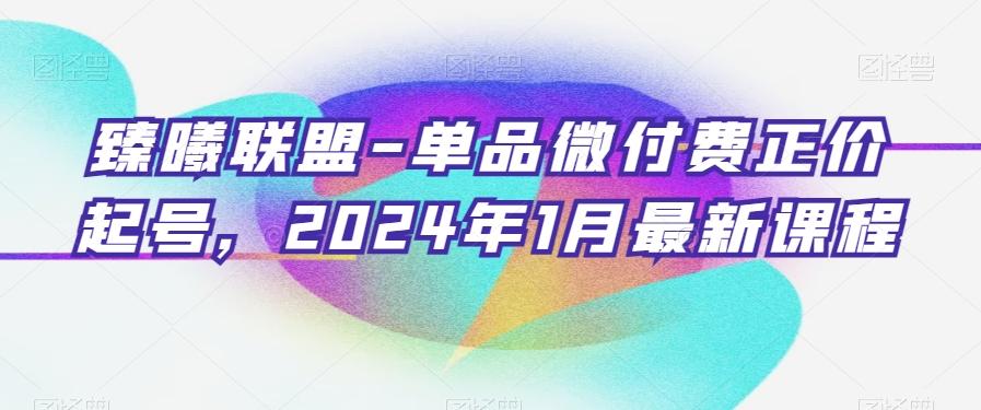 臻曦联盟-单品微付费正价起号，2024年1月最新课程-南友云赚