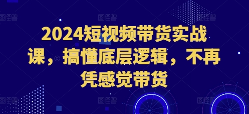 2024短视频带货实战课，搞懂底层逻辑，不再凭感觉带货-南友云赚