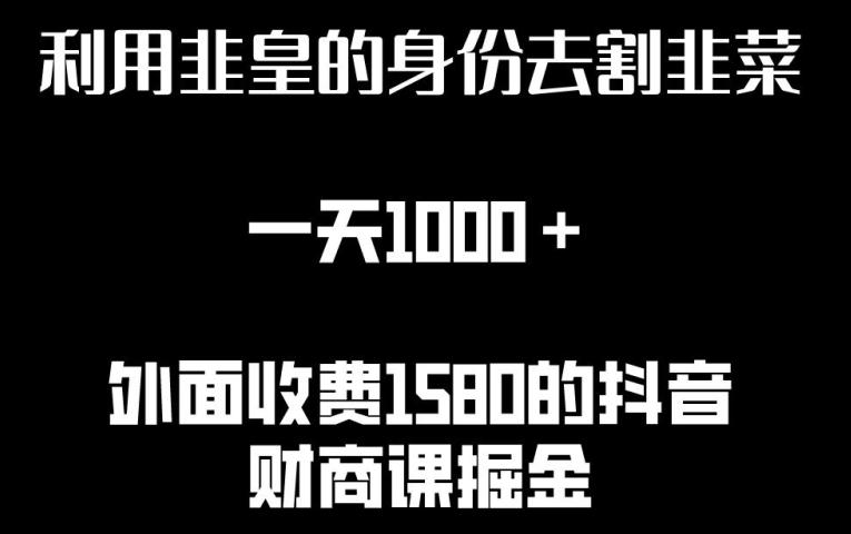 利用非皇的身份去割韭菜，一天1000+(附详细资源)【揭秘】-南友云赚