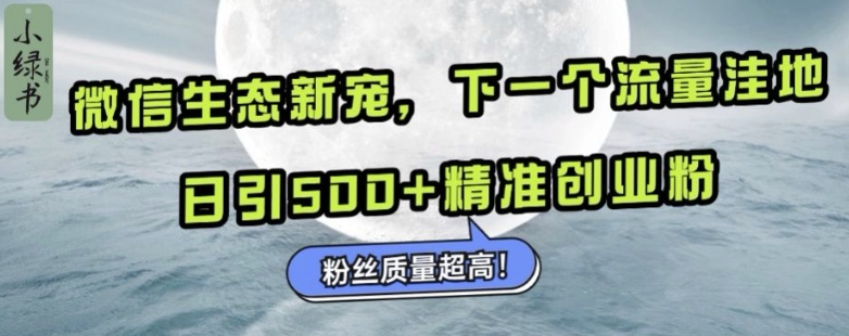 微信生态新宠小绿书：下一个流量洼地，日引500+精准创业粉，粉丝质量超高-南友云赚