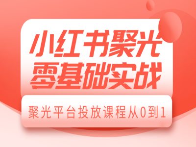 小红书聚光零基础实战，聚光平台投放课程从0到1-南友云赚