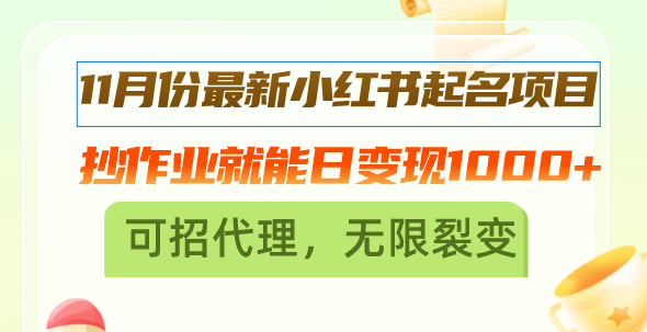 11月份最新小红书起名项目，抄作业就能日变现1000+，可招代理，无限裂变-南友云赚