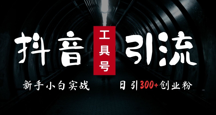 2024最新抖音工具号引流玩法，高效日引300+创业粉，当天变现5k，小白也可成为实战高手-南友云赚