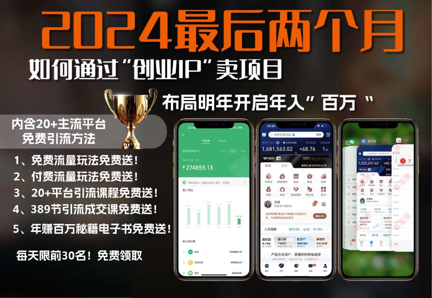 2024最后两个月如何通过”创业IP“卖项目年入”百万“,创业IP+最强引流…-南友云赚
