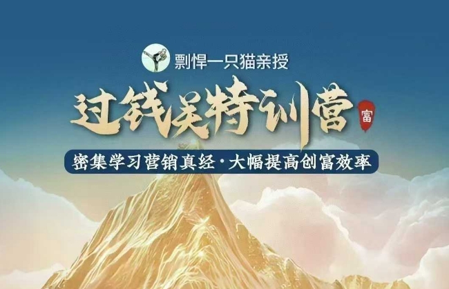 剽悍一只猫-过钱关特训营，学习营销真经 大幅度提高创富效率-南友云赚
