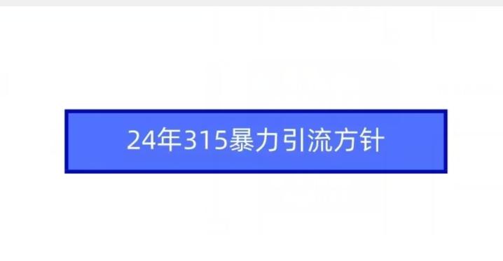 24年315暴力引流方针-南友云赚