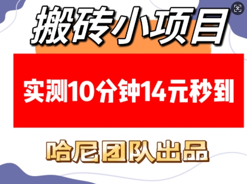 搬砖小项目，实测10分钟14元秒到，每天稳定几张(赠送必看稳定)-南友云赚