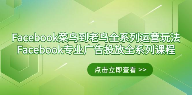 Facebook-菜鸟到老鸟全系列运营玩法+Facebook-专业广告投放全系列课程-南友云赚