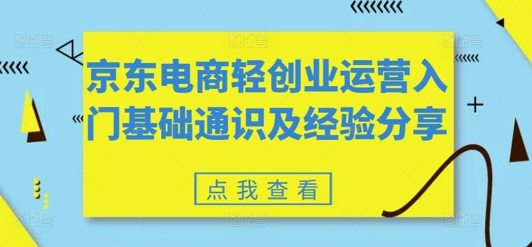 京东电商轻创业运营入门基础通识及经验分享-南友云赚