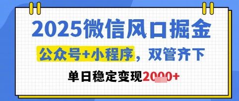 2025微信风口掘金，公众号+小程序双管齐下，单日稳定变现1k+【揭秘】-南友云赚