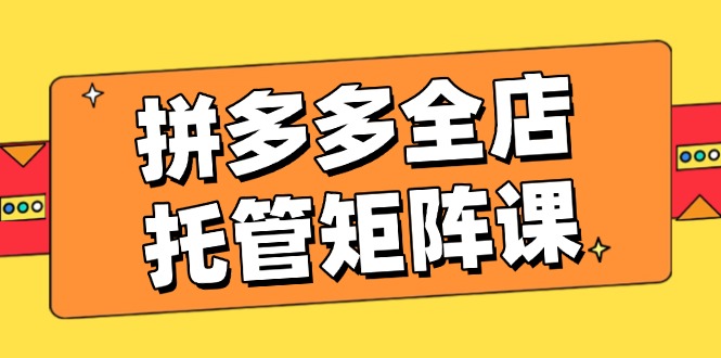 拼多多全店托管矩阵课，盈利动销玩法，高效计划设置，提升店铺效益-南友云赚