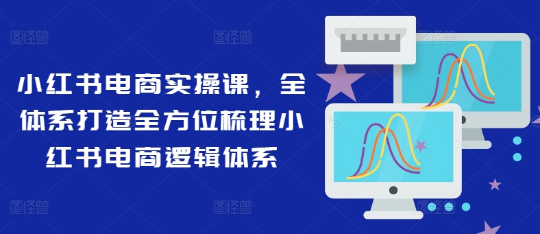 小红书电商实操课，全体系打造全方位梳理小红书电商逻辑体系-南友云赚