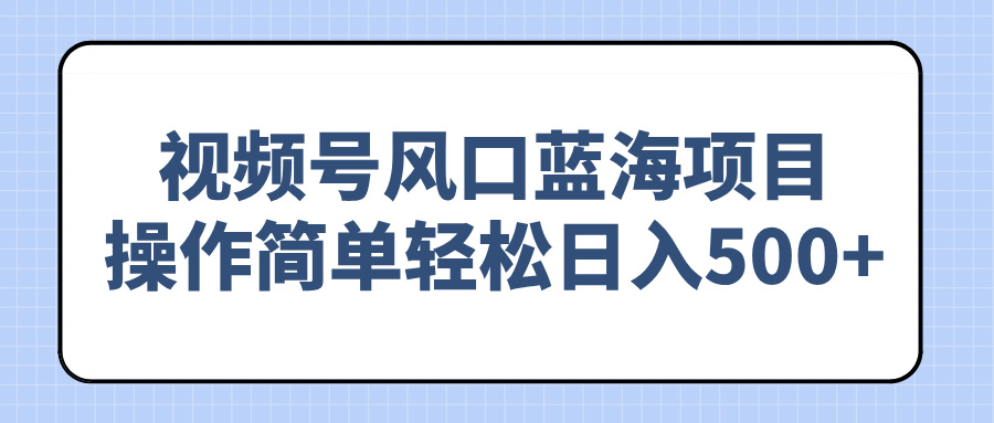 视频号风口蓝海项目，操作简单轻松日入500+-南友云赚