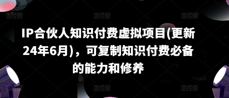 IP合伙人知识付费虚拟项目(更新24年6月)，可复制知识付费必备的能力和修养-南友云赚