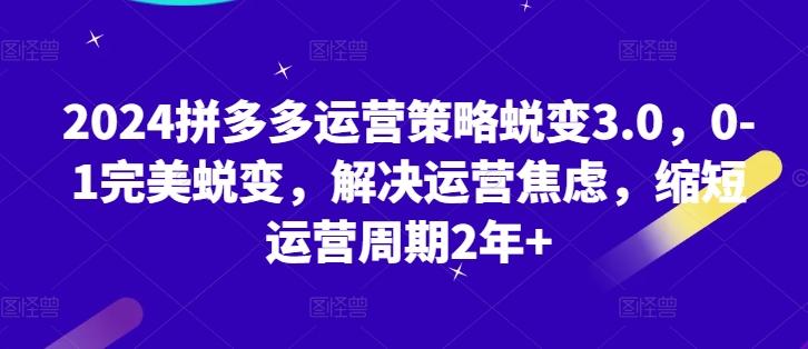 2024拼多多运营策略蜕变3.0，0-1完美蜕变，解决运营焦虑，缩短运营周期2年+-南友云赚