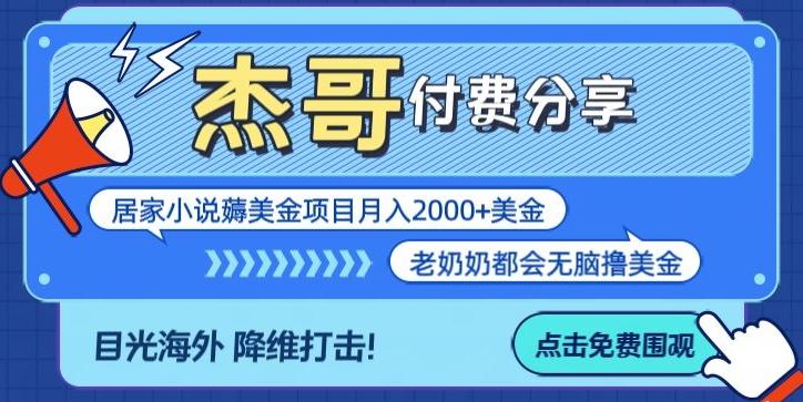 拆解海外撸美金项目月入2000美刀详细指导-南友云赚