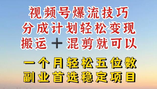 视频号爆流技巧，分成计划轻松变现，搬运 +混剪就可以，一个月轻松五位数稳定项目【揭秘】-南友云赚