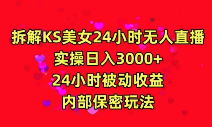 利用快手24小时无人美女直播，实操日入3000，24小时被动收益，内部保密玩法【揭秘】-南友云赚