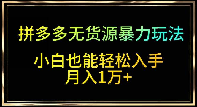 拼多多无货源暴力玩法，全程干货，小白也能轻松入手，月入1万+【揭秘】-南友云赚
