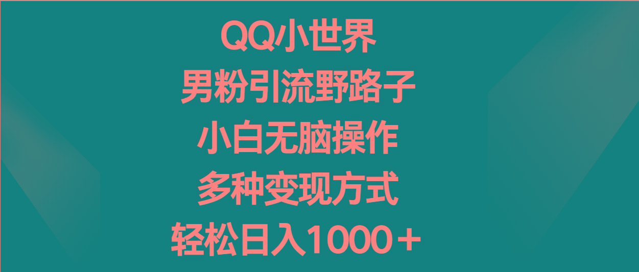 QQ小世界男粉引流野路子，小白无脑操作，多种变现方式轻松日入1000＋-南友云赚