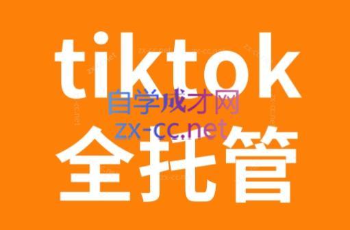 TikTok跨境电商全托管运营模式精品课-南友云赚