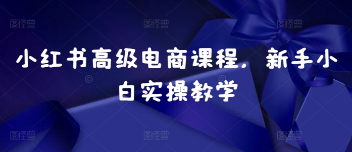 小红书高级电商课程，新手小白实操教学-南友云赚