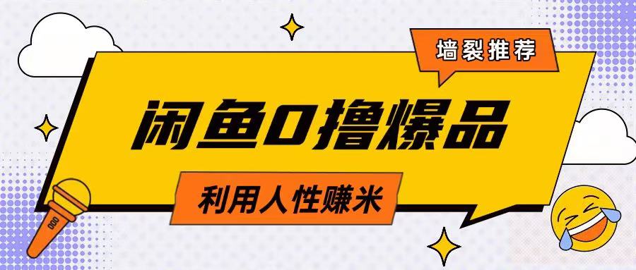 咸鱼0撸玩法利用人性售卖商品达到日挣2张的效果-南友云赚
