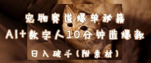 宠物赛道爆单秘籍：AI+数字人10分钟造爆款，日入1k-南友云赚