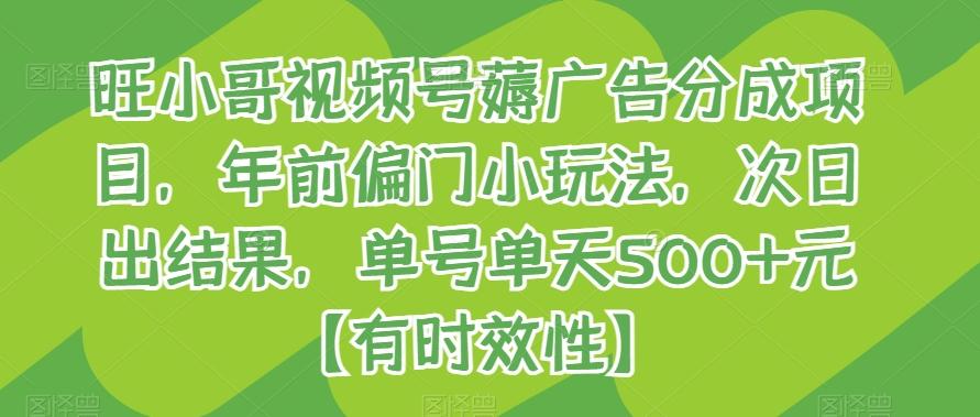 旺小哥视频号薅广告分成项目，年前偏门小玩法，次日出结果，单号单天500+元【有时效性】-南友云赚